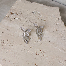  Aretes Largos Hojas Plateadas