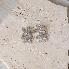  Aretes Dos Flores Plateadas