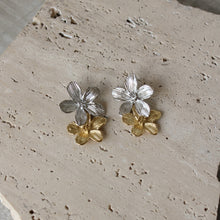  Aretes Dos flores Dos Tonos