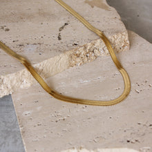  Collar De Serpiente Plana Mediana
