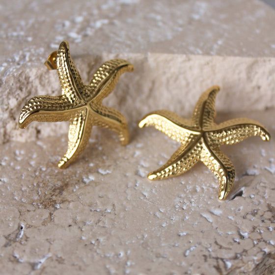 Aretes Irregulares Starfish