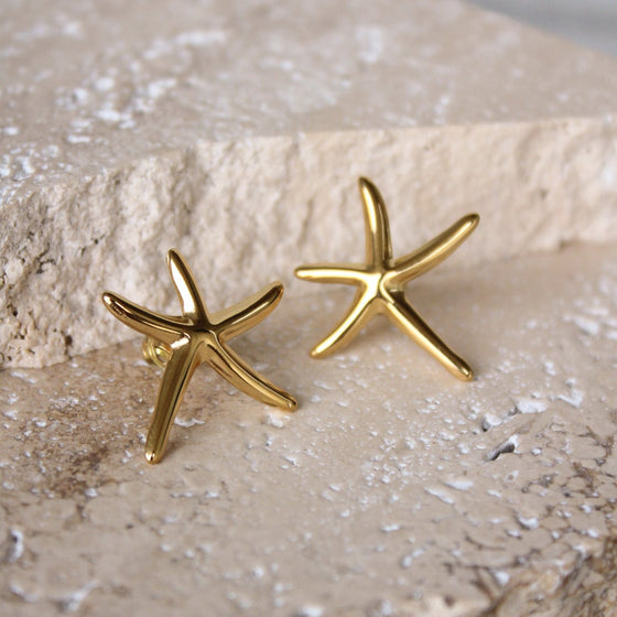 Aretes Delgados Starfish