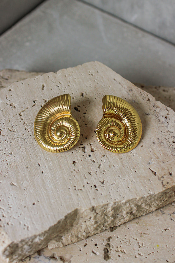 Aretes Ammonita Textura