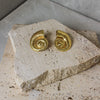Aretes Ammonita Textura