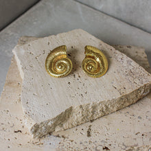  Aretes Ammonita Textura