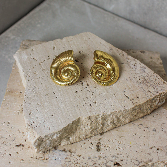 Aretes Ammonita Textura