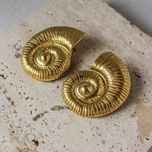  Aretes Grandes Ammonita