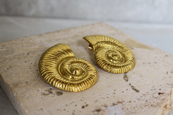 Aretes Grandes Ammonita