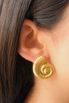 Aretes Ammonita Textura