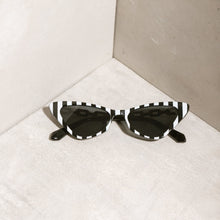  Lentes Cat Eye Zebra