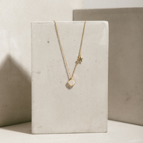 Collar Shell Starfish